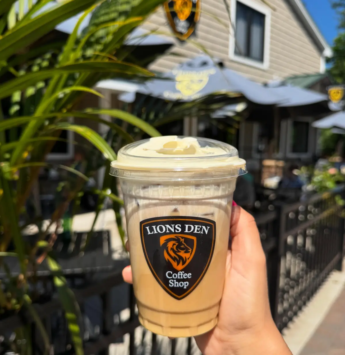 Iced coffee with cold foam in a Lions Den Coffee Shop cup, held up in front of the shop's patio